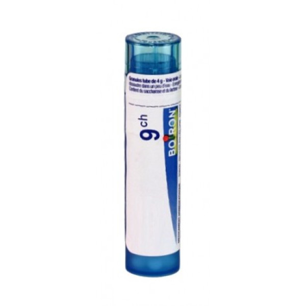 Spongia Tosta Grânulo 9Ch Boiron