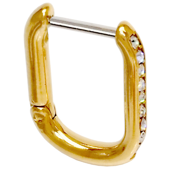 Biojoux Brinco Alexia D 16Mm Bjt262