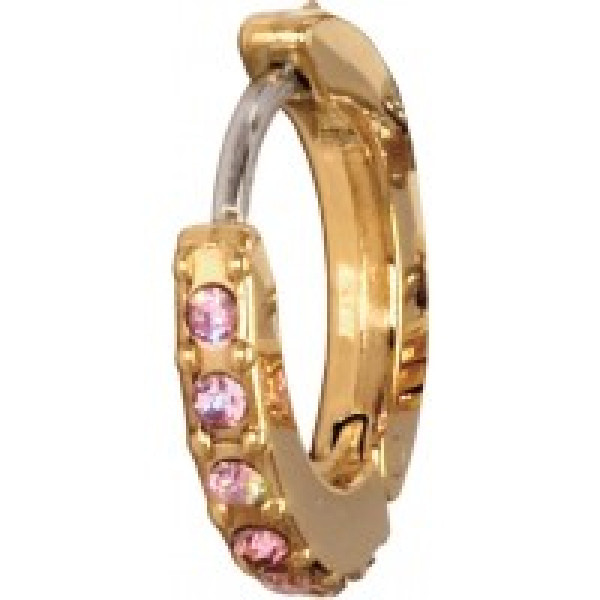 Biojoux Argolas Douradas Cristal 12 mm BJT728