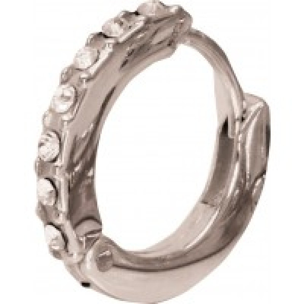 Biojoux Argolas Prateadas Cristal 12 mm BJT727
