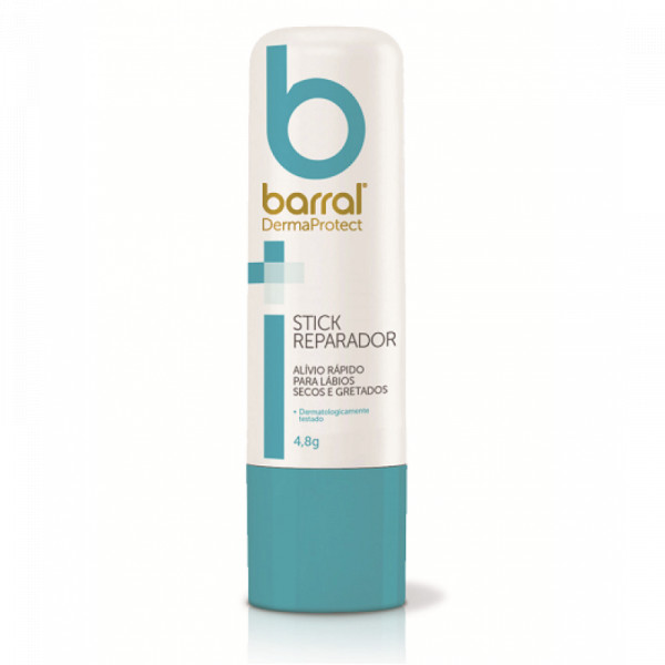 Barral Dermaprote Stick Repar 4,8G