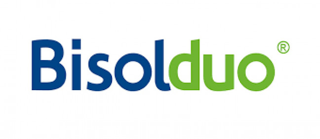Bisolduo